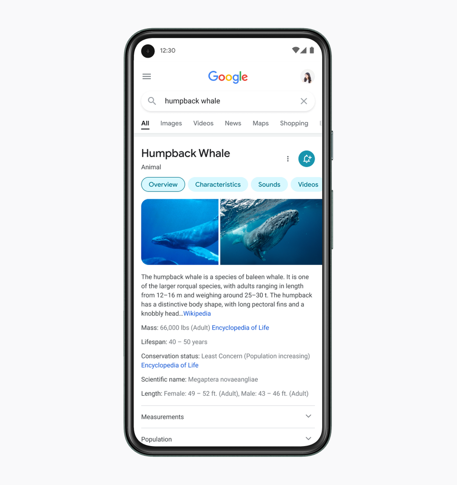 Google rinnova la Ricerca su mobile