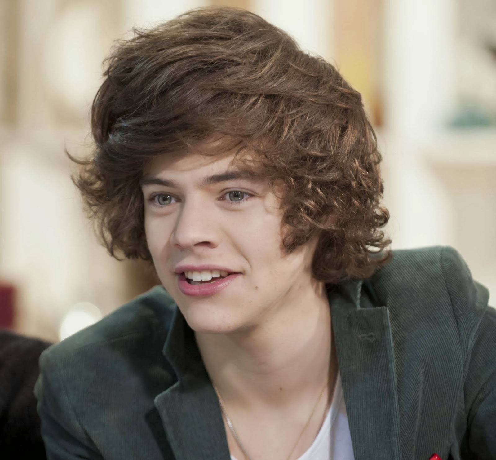 21 Amazing Long Hair Harry Styles Pictures Hair Style