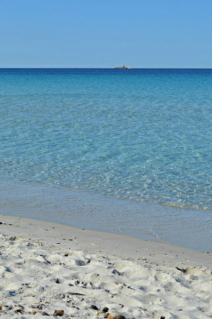 Mare di Sardegna