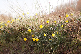 Walking near Burnham Market at Creake Abbey