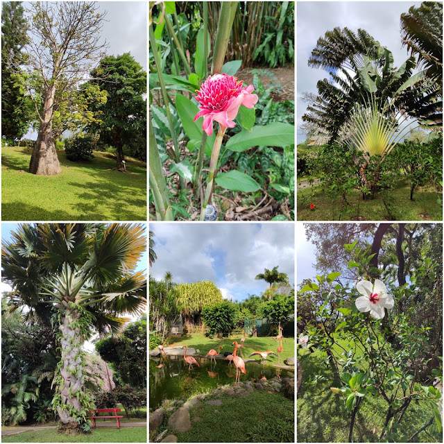 Jardin botanique de Deshaies