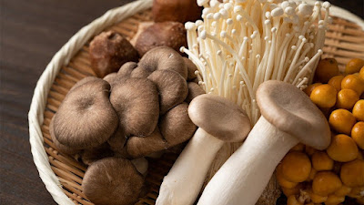 Uses Of Mushrooms
