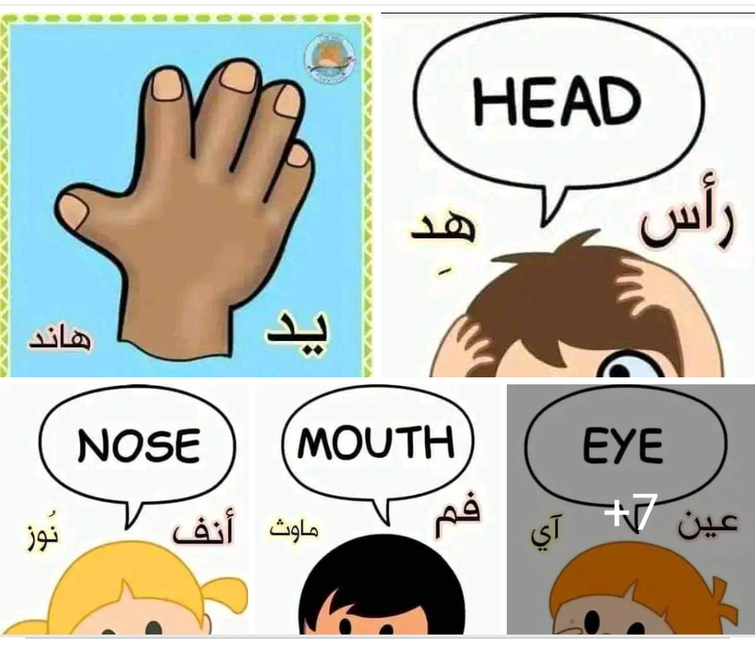 أعضاء الجسم باللغة الإنجليزية للاطفال مزودة بصور ومترجة بالعربي مع النطق الصحيح