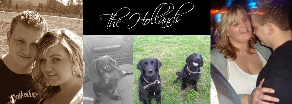 The Hollands