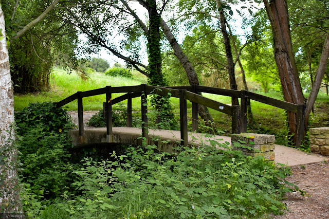 Ruta en Rubí-Sant Cugat del Valles(Torrent Dels Alous)