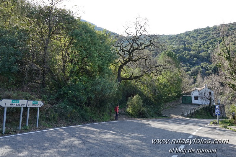 Sendero El Bosque - Benamahoma - Grazalema