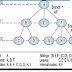 Basic Tree Concepts