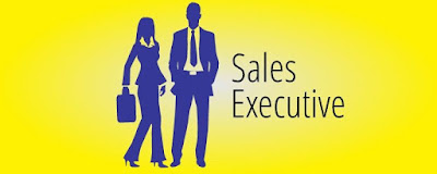 Sales Executive Job Descriptions.