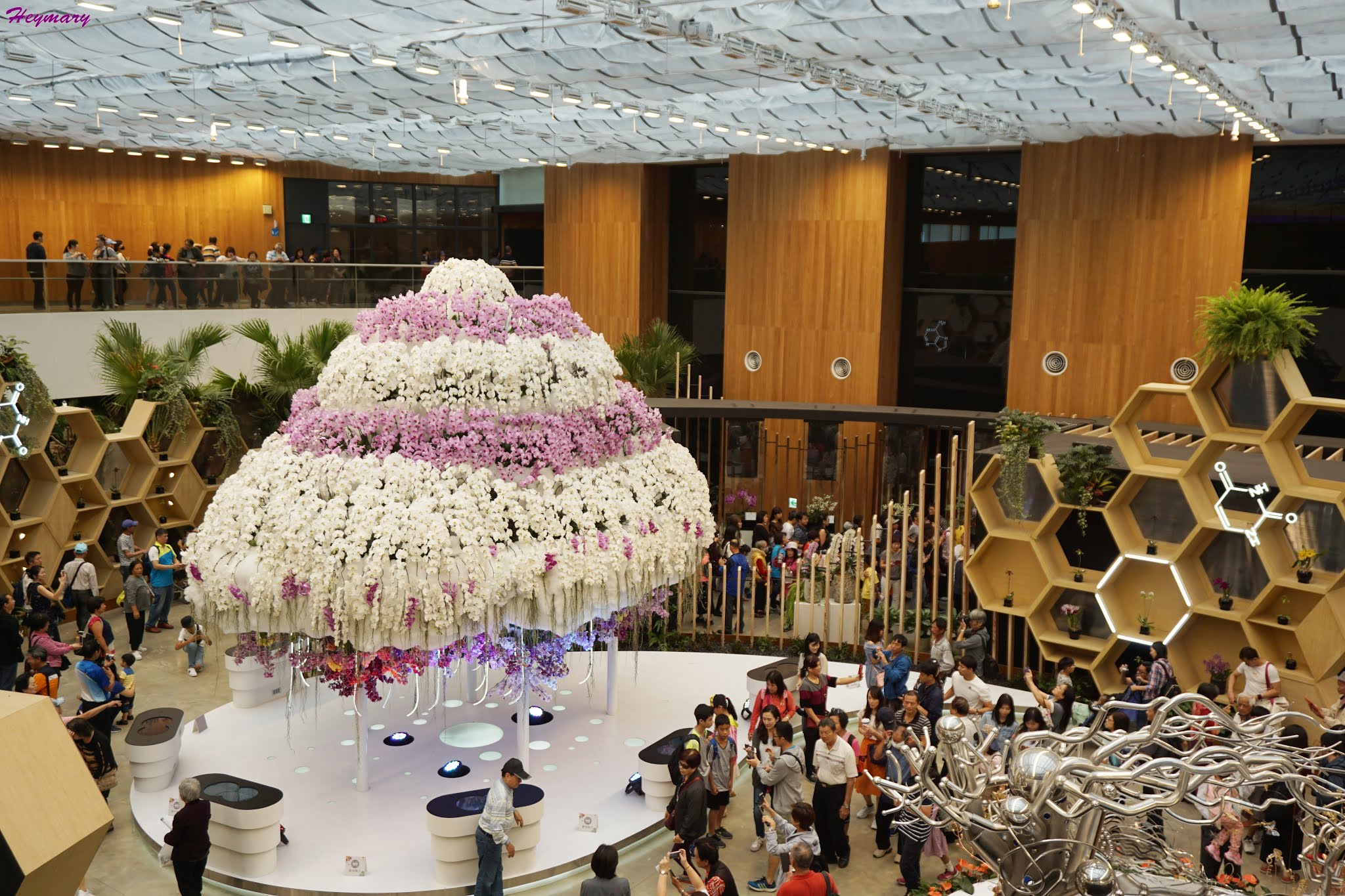 臺中世界花卉博覽會