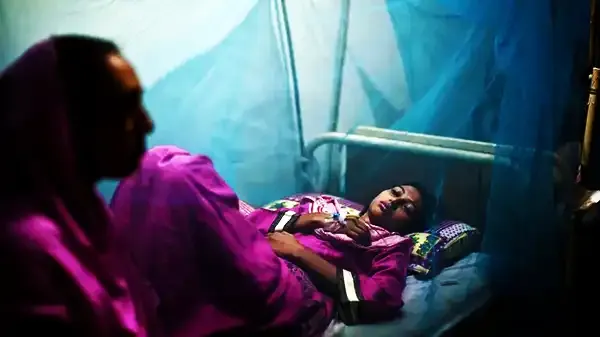 ডেঙ্গু আক্রান্ত ও মৃতের সংখ্যা বৃদ্ধি: দেশে ভয়াবহ পরিস্থিতি
