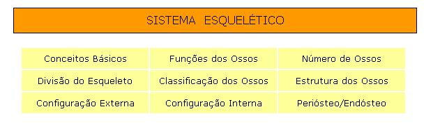  Ossos do corpo humano