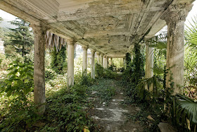 Lugares abandonados retomados por la naturaleza