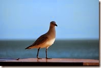 IMG_0876