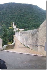 100_5317 - Copy