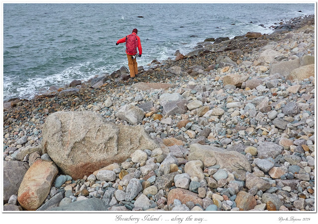 Gooseberry Island: ... along the way...