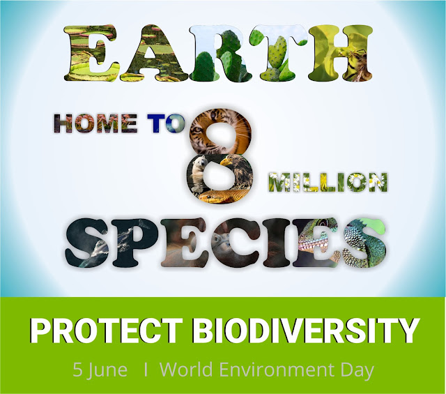 World Environment Day