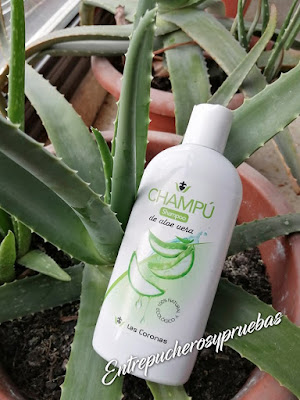 aloe vera champu 