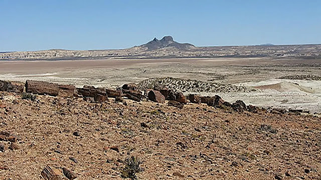 Patagonian Desert