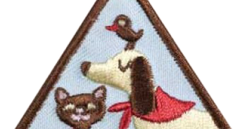 Follow The Leader: Brownies: Pets Badge