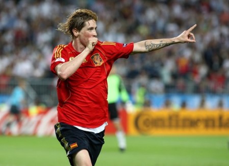 fernando torres spain