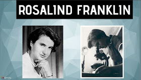  Rosalind Franklin