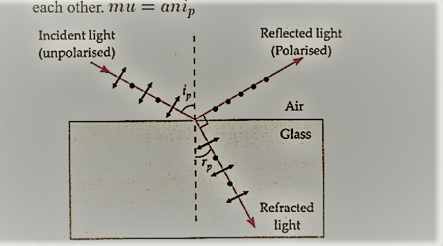 Polarisation by reflection (Brewster’s Law)