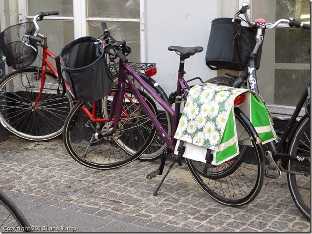 20130708_160003_310HS_IMG_8948_thumb[1]