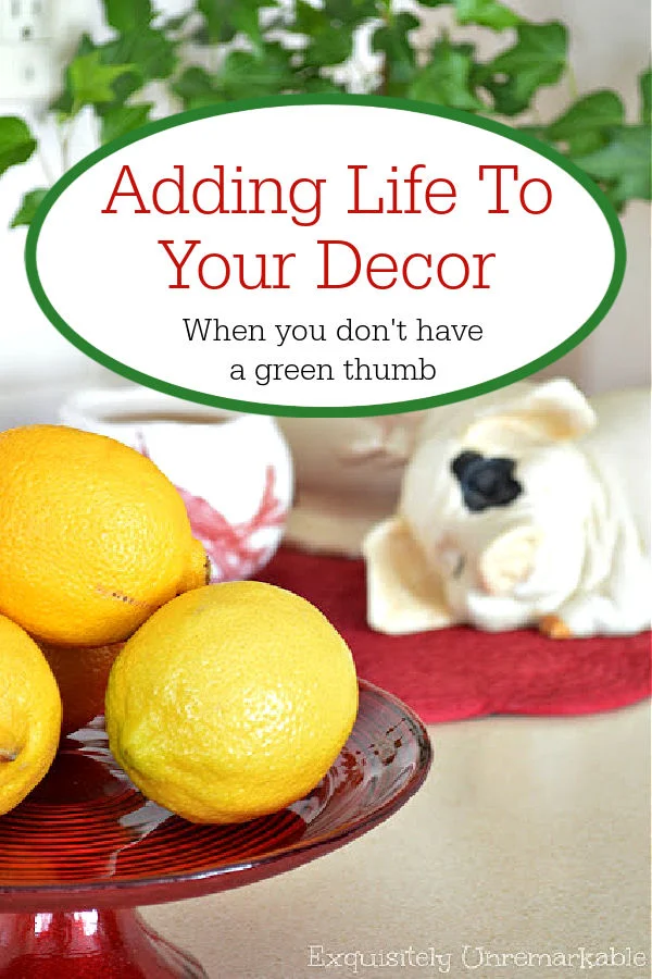 Adding Life To Decor when you don't have a green thumb