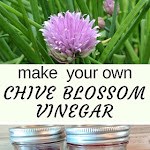 Chive blossom vinegar