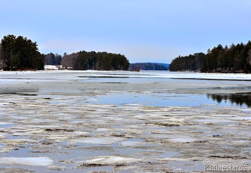 DSC_0562