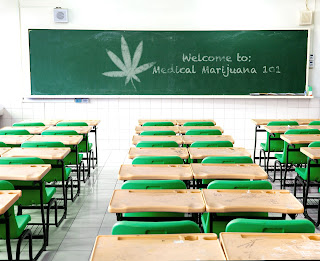 Marijuana school