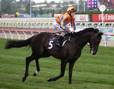 guineas_xtravagant 1