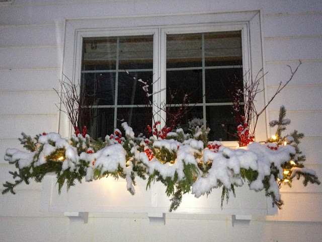 holiday window box -- The Impatient Gardener