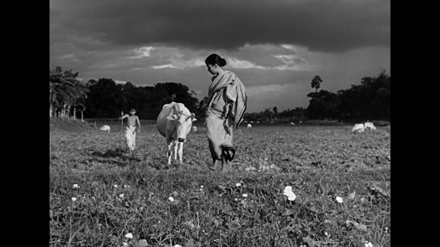 Pather Panchali (1955) Yol Türküsü