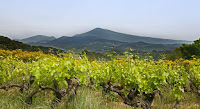 Jecreemacave soleil et vins de la vallée du Rhône