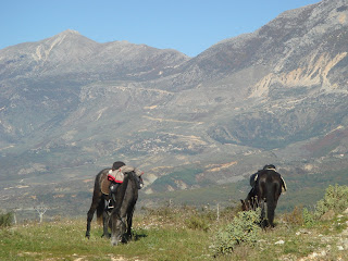 Albania, ratsastusmatka