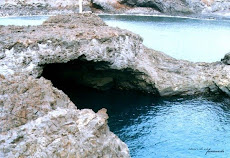 Salinas