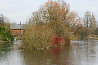 river with mill