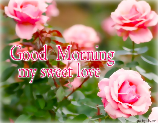 Good Morning Sweetheart I Love You Quotes Sms