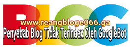 penyebab blog tidak terindex oleh googleBot