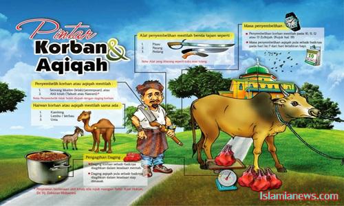 Pengertian Dalil Dasar Aturan Qurban Dalam Islam Tapi Belum Aqiqah