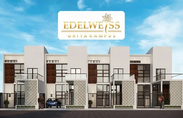 Bisnis Rumah Kost Dekat UIN Kedokteran Malang dari Edelweiss Griya Kampus - pacitanterkini.id