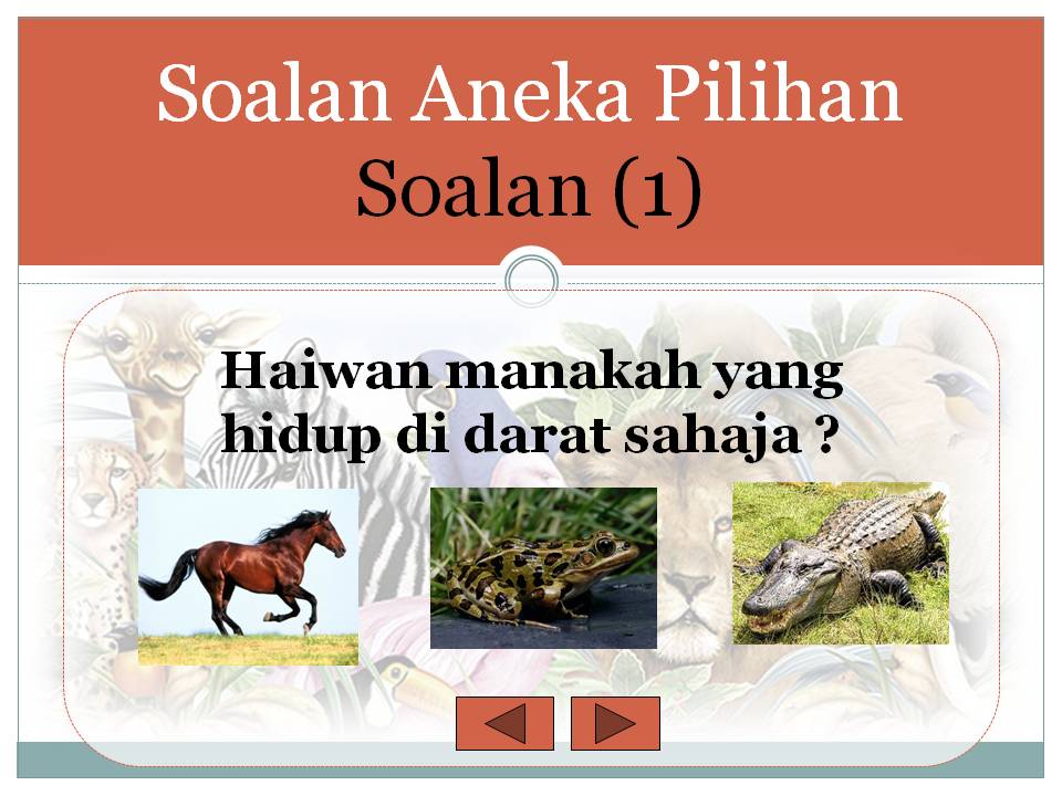 Bahasa Malaysia Tahap Satu: Bahasa Malaysia - Habitat Haiwan