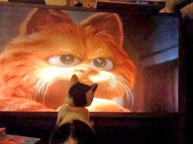 Funny cats - part 85 (40 pics + 10 gifs), cat watches Garfield on tv