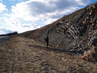 Matt Stimson inspecting closely folding along the Sussex road cut