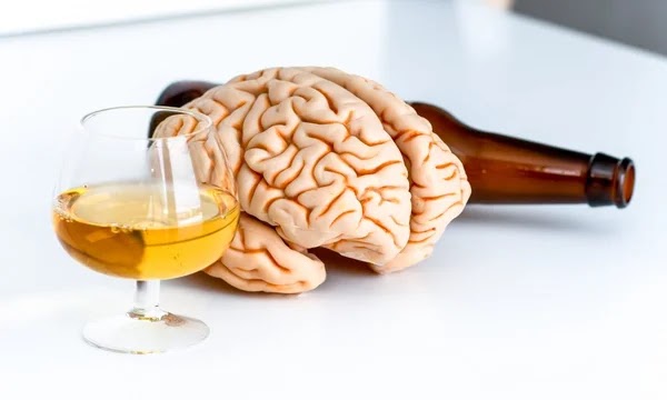How Alcohol Affects The Brain.