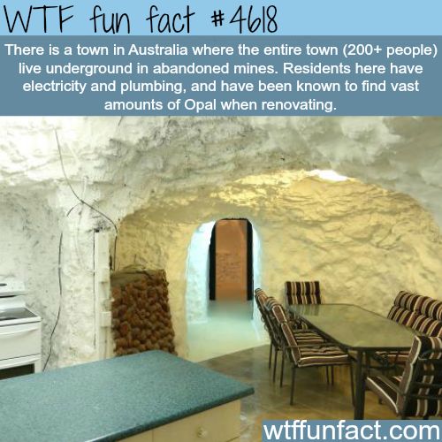 40 Amazing Random WTF Facts