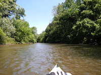 Kayaking the yellow breeches and lush banks of foliage