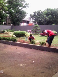 Tukang taman cinere, Jakarta selatan