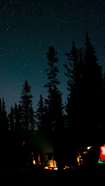 Campfire, Camping, Night, Forest